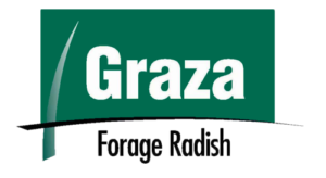 Graza Forage Radish