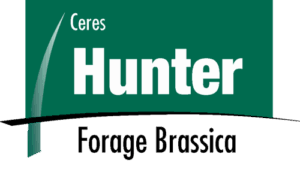 Hunter Forage Brassica logo