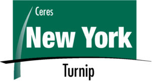 New York Turnip logo