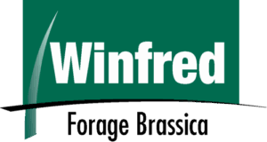 Winfred Forage Brassica logo
