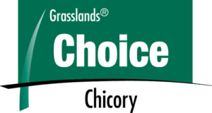 Choice Chicory herb logo