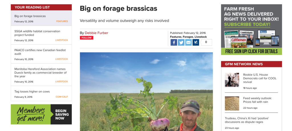 Forage brassica article