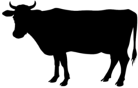 cow silhouette black